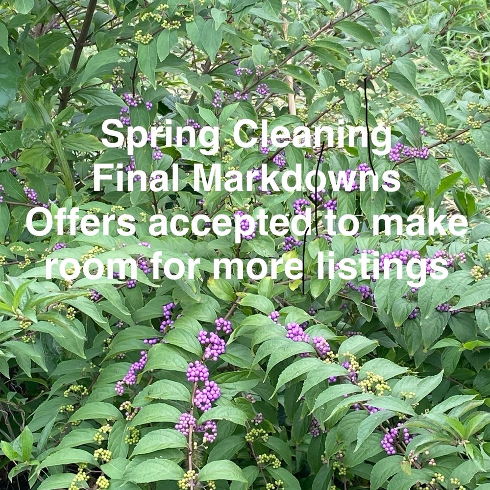 Spring Cleaning Markdowns!